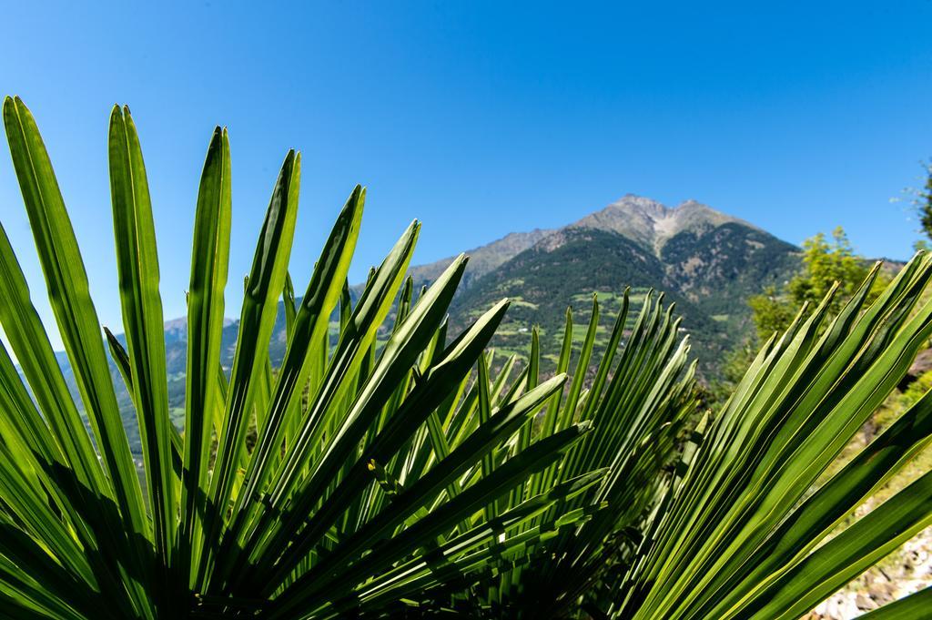 Biohof Niedereben Villa Rabla Luaran gambar