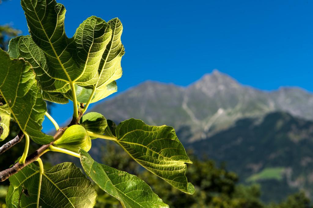 Biohof Niedereben Villa Rabla Luaran gambar