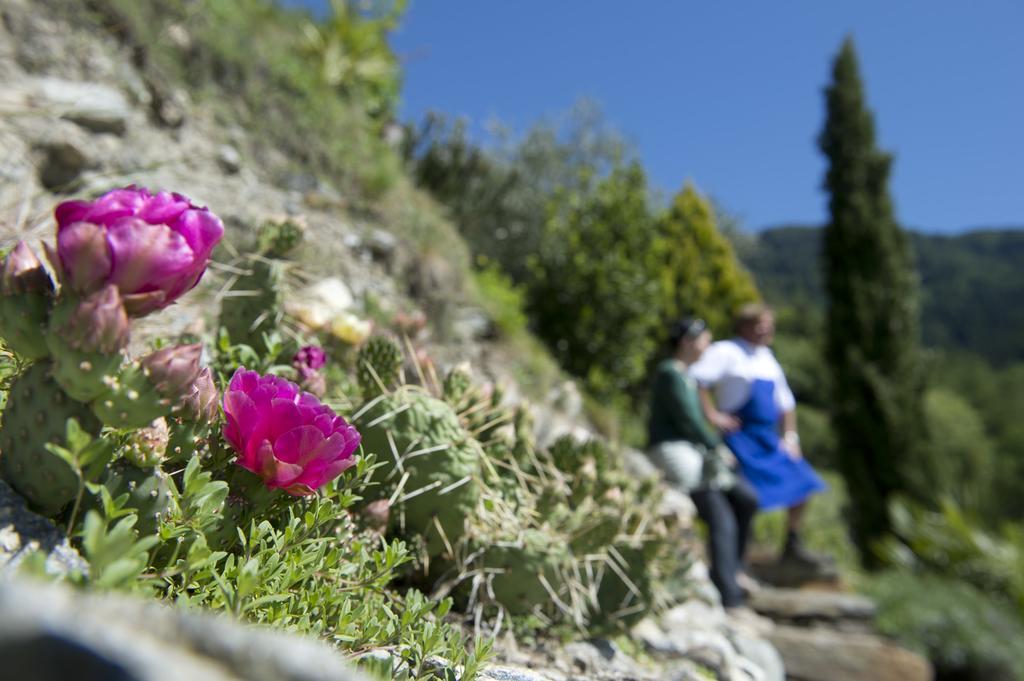 Biohof Niedereben Villa Rabla Luaran gambar